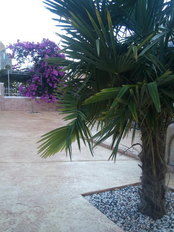 דוברה וודה Apartments Vila A1 מראה חיצוני תמונה