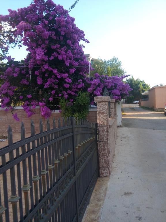דוברה וודה Apartments Vila A1 מראה חיצוני תמונה
