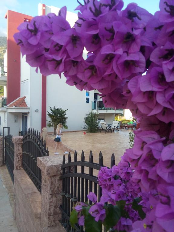 דוברה וודה Apartments Vila A1 מראה חיצוני תמונה